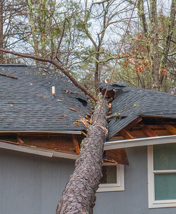 Roof Damage Nexis Construction